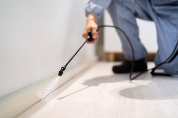 Licensed Pest Control service in North Liberty, IA - Show Me Pest Control