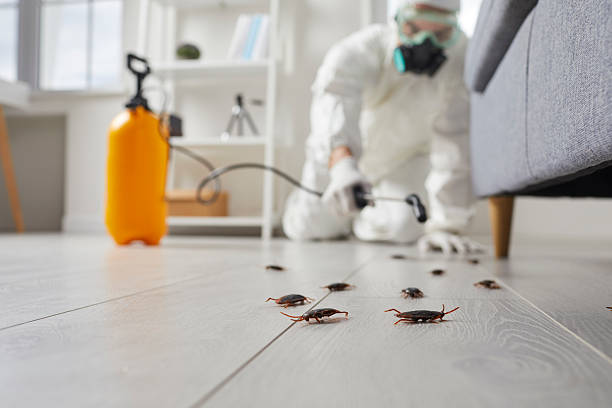 Commercial Kitchen Cockroach Control in North Liberty